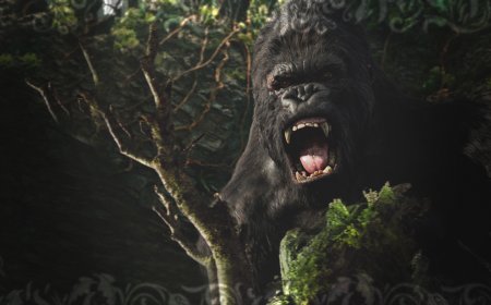 Yeni King Kong Oyunu Yapılıyor 